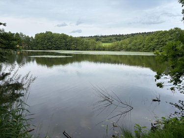 Terrains de loisirs bois etangs a vendre Le Val-d'Ajol 88340 Vosges 25021 m2  126540 euros