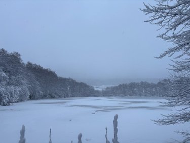 Terrains de loisirs bois etangs a vendre Le Val-d'Ajol 88340 Vosges 25021 m2  126540 euros