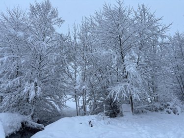 Terrains de loisirs bois etangs a vendre Le Val-d'Ajol 88340 Vosges 25021 m2  126540 euros