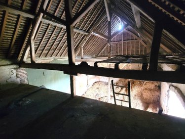 Maison a vendre Marboué 28200 Eure-et-Loir 59 m2 3 pièces 86500 euros