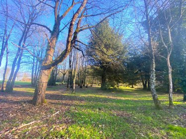 Terrains de loisirs bois etangs a vendre Goven 35580 Ille-et-Vilaine 3898 m2  8000 euros