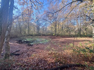 Terrains de loisirs bois etangs a vendre La Ferté-Imbault 41300 Loir-et-Cher 209500 m2  263500 euros