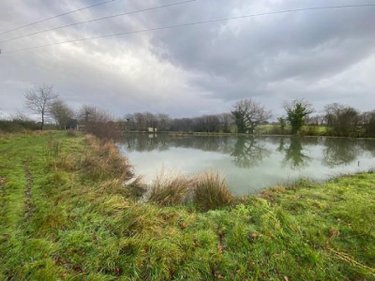 Terrains de loisirs bois etangs a vendre Tinténiac 35190 Ille-et-Vilaine 10200 m2  54000 euros
