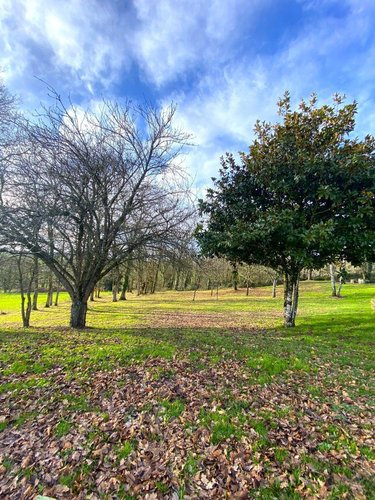 Maison a vendre La Chapelle Bouëxic 35330 Ille-et-Vilaine 103 m2 5 pièces 192030 euros