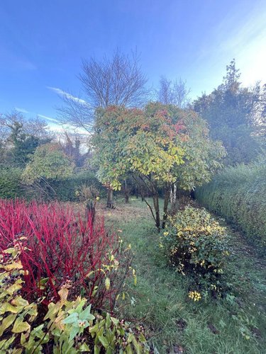 Maison a vendre Wimille 62126 Pas-de-Calais 81 m2 5 pièces 169600 euros