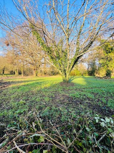 Maison a vendre Préaux 36240 Indre 105 m2 6 pièces 86400 euros