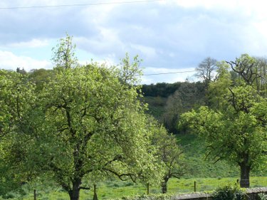 Appartement a vendre Dinan 22100 Côtes-d'Armor 69 m2 4 pièces 141750 euros