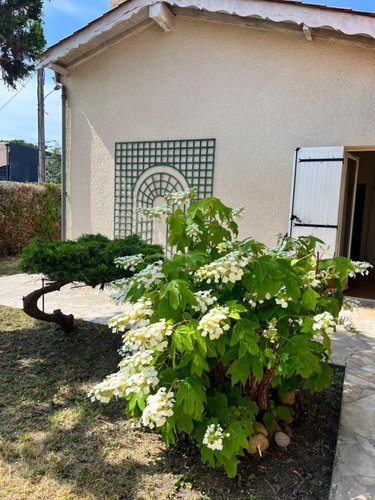 Maison a vendre Bègles 33130 Gironde 140 m2 4 pièces 472500 euros