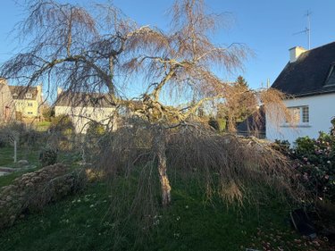 Maison a vendre Pont-Aven 29930 Finistère 81 m2 5 pièces 168000 euros