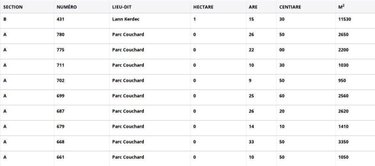 Terrains de loisirs bois etangs a vendre Clohars-Carnoët 29360 Finistère 29350 m2  16800 euros