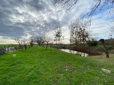 Terrains de loisirs bois etangs a vendre Buzançais 36500 Indre 4000 m2  13300 euros