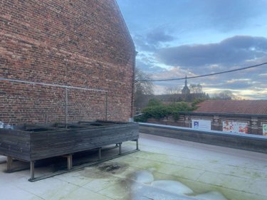 Maison a vendre Bailleul 59270 Nord 335 m2 6 pièces 599000 euros