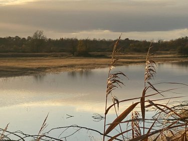 Terrains de loisirs bois etangs a vendre Lingé 36220 Indre 139626 m2  276800 euros