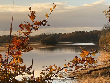 Terrains de loisirs bois etangs a vendre Lingé 36220 Indre 139626 m2  276800 euros