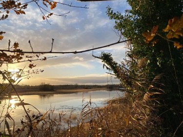 Terrains de loisirs bois etangs a vendre Lingé 36220 Indre 139626 m2  276800 euros