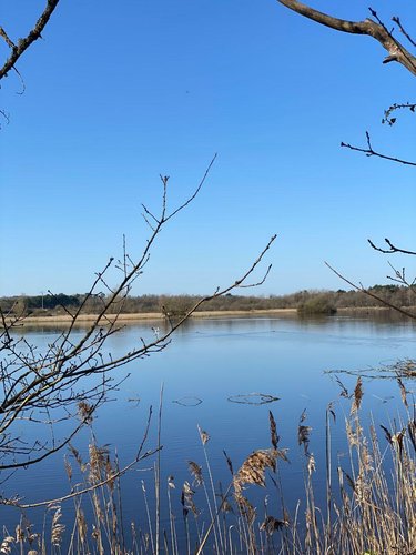 Terrains de loisirs bois etangs a vendre Lingé 36220 Indre 139626 m2  276800 euros