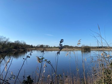 Terrains de loisirs bois etangs a vendre Lingé 36220 Indre 139626 m2  276800 euros