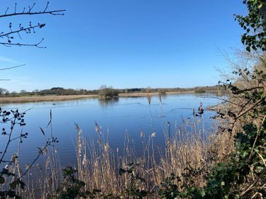 Terrains de loisirs bois etangs a vendre Lingé 36220 Indre 139626 m2  276800 euros