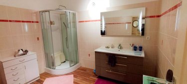 Maison a vendre Melleran 79190 Deux-Sèvres 562 m2 12 pièces 265000 euros