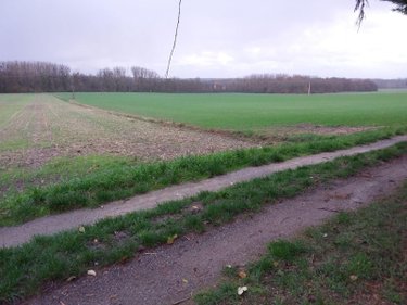 Maison a vendre Méhers 41140 Loir-et-Cher 61 m2 2 pièces 106150 euros