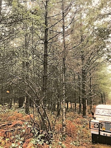 Terrains de loisirs bois etangs a vendre La Chapelle 03300 Allier 167600 m2