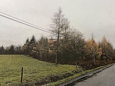 Terrains de loisirs bois etangs a vendre La Chapelle 03300 Allier 167600 m2