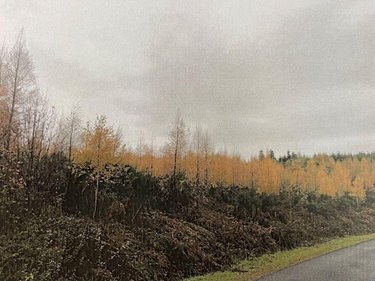 Terrains de loisirs bois etangs a vendre La Chapelle 03300 Allier 167600 m2