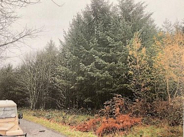 Terrains de loisirs bois etangs a vendre La Chapelle 03300 Allier 167600 m2