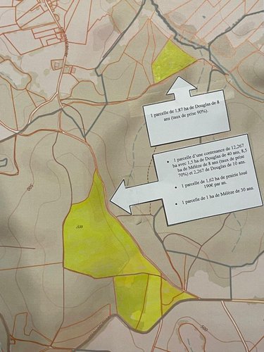 Terrains de loisirs bois etangs a vendre La Chapelle 03300 Allier 167600 m2