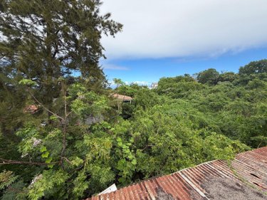 Terrain a batir a vendre Saint-Paul 97460 Réunion 8692 m2  1892000 euros