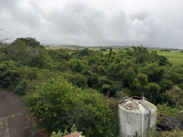 Terrain a batir a vendre Saint-Paul 97460 Réunion 8692 m2  1892000 euros