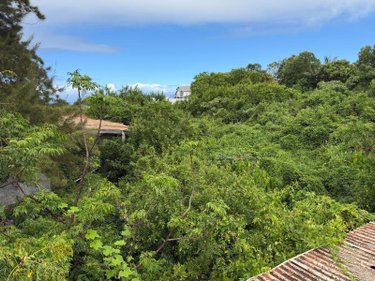 Terrain a batir a vendre Saint-Paul 97460 Réunion 8692 m2  1892000 euros