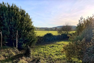 Maison a vendre Thory 89200 Yonne 109 m2 4 pièces 80000 euros