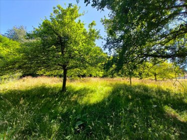 Terrain a batir a vendre Saint-Germain-de-Pasquier 27370 Eure 3041 m2  122000 euros