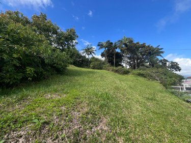 Terrain a batir a vendre Sainte-Marie 97438 Réunion 558 m2  127600 euros