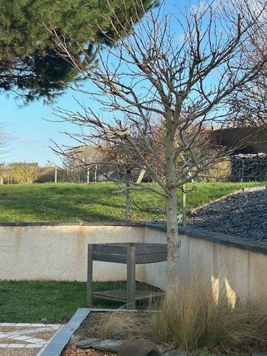Maison a vendre Baugé-en-Anjou 49150 Maine-et-Loire 161 m2 7 pièces 282150 euros