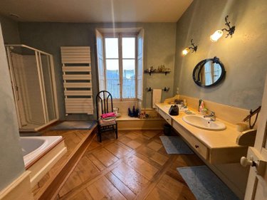 propriete a vendre Villard-Léger 73390 Savoie 390 m2 9 pièces 1195000 euros