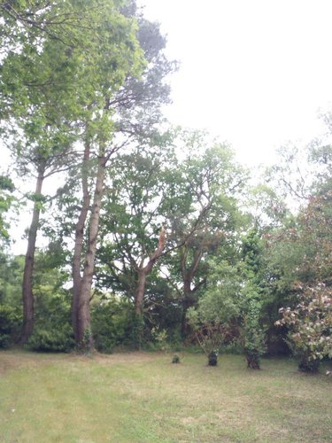 Maison a vendre Fay-de-Bretagne 44130 Loire-Atlantique 132 m2 6 pièces 157080 euros