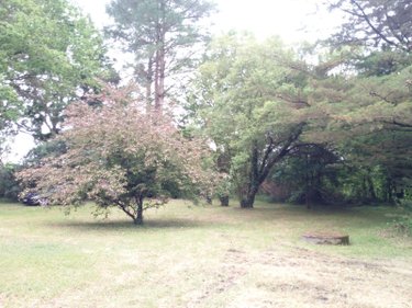 Maison a vendre Fay-de-Bretagne 44130 Loire-Atlantique 132 m2 6 pièces 157080 euros