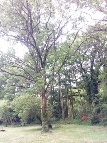 Maison a vendre Fay-de-Bretagne 44130 Loire-Atlantique 132 m2 6 pièces 157080 euros