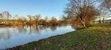 Terrains de loisirs bois etangs a vendre Montigné-le-Brillant 53970 Mayenne 16398 m2  58025 euros