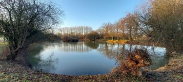 Terrains de loisirs bois etangs a vendre Montigné-le-Brillant 53970 Mayenne 16398 m2  58025 euros