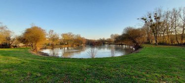 Terrains de loisirs bois etangs a vendre Montigné-le-Brillant 53970 Mayenne 16398 m2  58025 euros