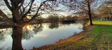 Terrains de loisirs bois etangs a vendre Montigné-le-Brillant 53970 Mayenne 16398 m2  58025 euros