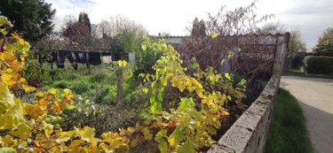 Maison a vendre Mehun-sur-Yèvre 18500 Cher 29 m2 3 pièces 19800 euros