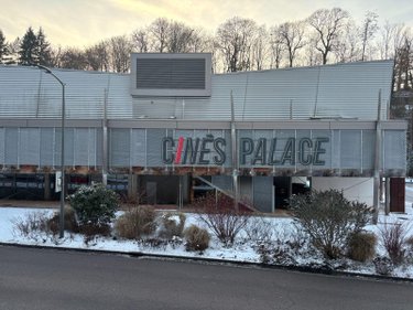 Immeuble a vendre Épinal 88000 Vosges 170 m2  241000 euros