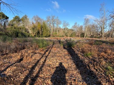 Terrain a batir a vendre Blanquefort 33290 Gironde 5238 m2  364250 euros