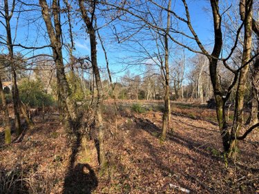 Terrain a batir a vendre Blanquefort 33290 Gironde 5238 m2  364250 euros