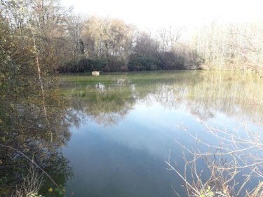 Terrains de loisirs bois etangs a vendre Saint-Romain-sur-Cher 41140 Loir-et-Cher 5640 m2  29200 euros