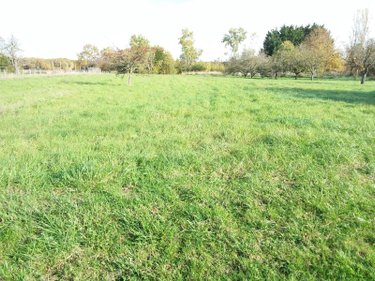 Terrain a batir a vendre Fougères-sur-Bièvre 41120 Loir-et-Cher 1545 m2  39200 euros